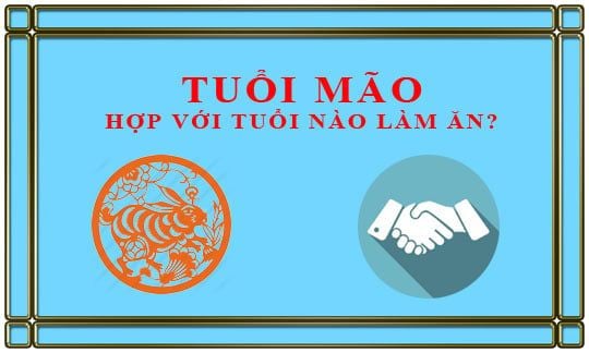 Tuổi Mão hợp màu gì? Mão hợp và kỵ tuổi nào?