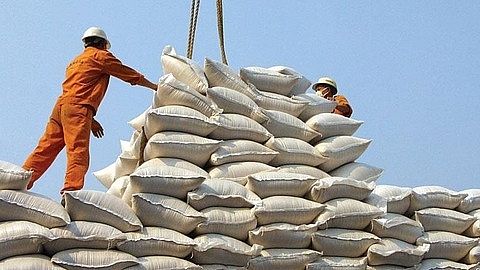 Doanh nghiệp cần xem xét thận trọng khi xuất khẩu gạo vào Phi-líp-pin