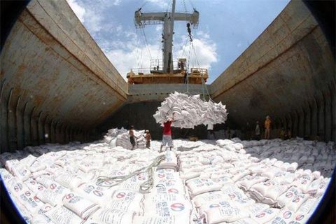 Giá gạo Việt Nam xuất khẩu cao chót vót