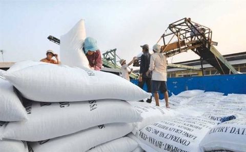 Châu Phi 'chán' gạo Thái Lan, Ấn Độ, tăng nhập khẩu gạo từ Việt Nam