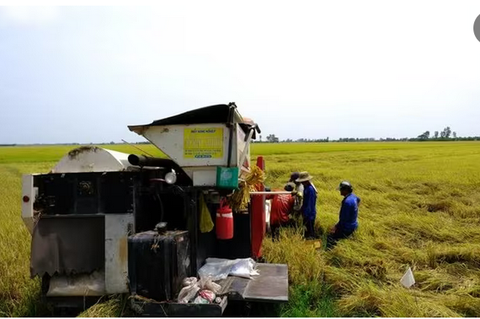 Sản xuất phát thải thấp: bước ngoặt của ngành lúa gạo Việt Nam