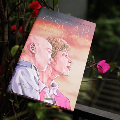 REVIEW “Oscar và bà áo hồng”: Bức Thư Đẹp Nhất Gửi Chúa