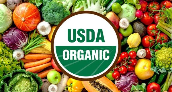 Chứng nhận hữu cơ USDA là gì? Cách nhận diện sản phẩm USDA