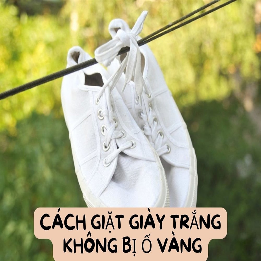 9 Cách Giặt Giày Trắng Sạch Như Mới Tại Nhà Đơn Giản Nhất