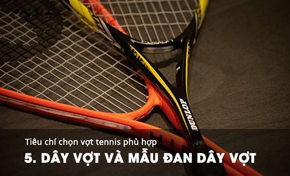 Dây vợt và kiểu đan dây