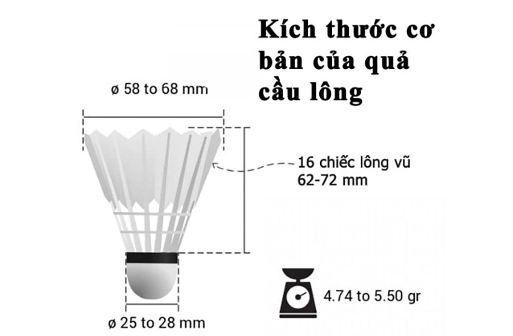 Luật chọn quả cầu lông