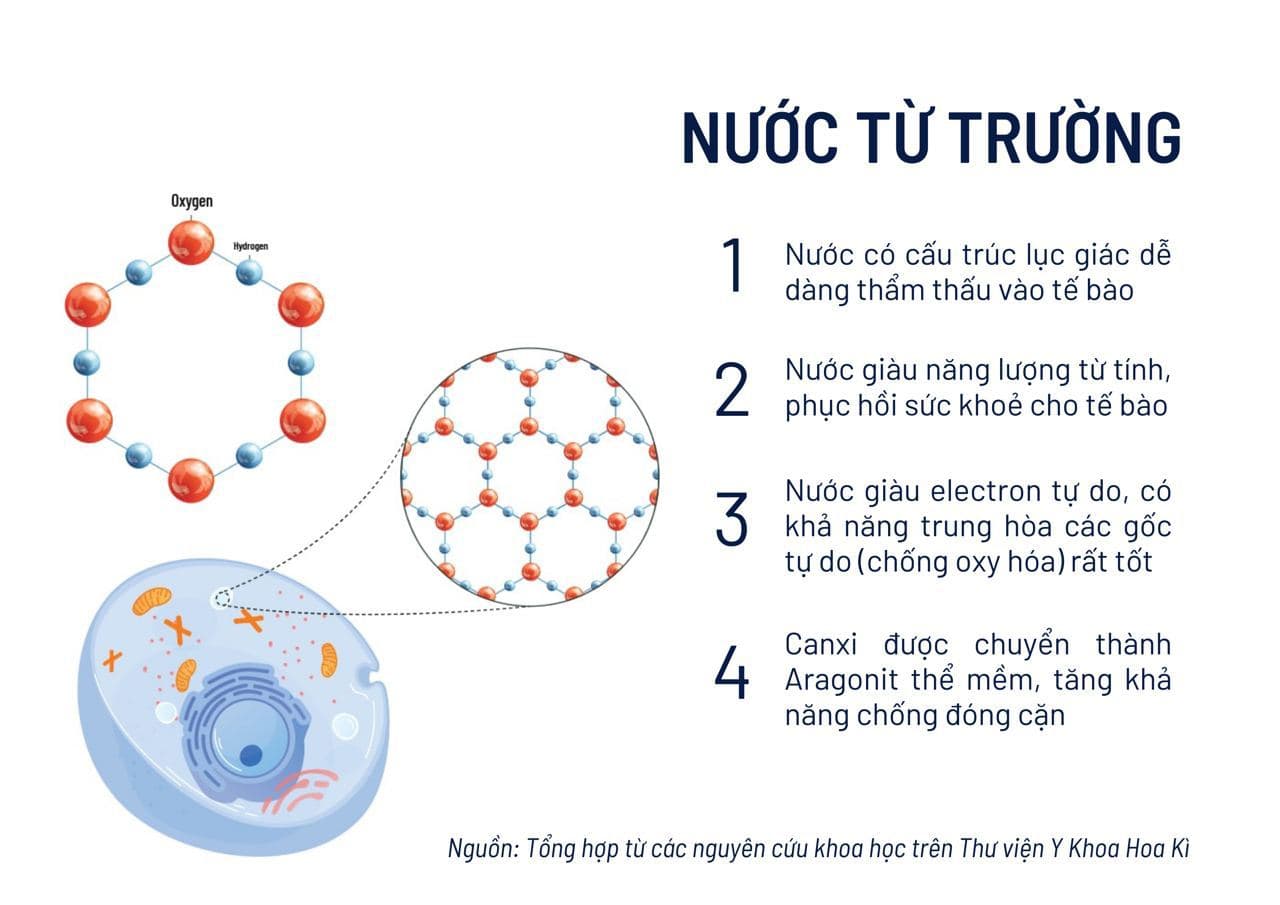 Nước từ trường có làm giảm ORP