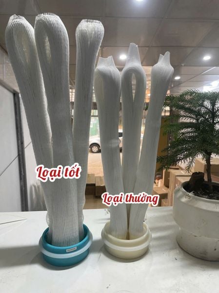 Sợi PVDF