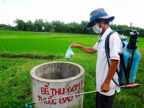 Vỏ bảo bì thuốc BVTV được thu gom về đúng nơi quy định