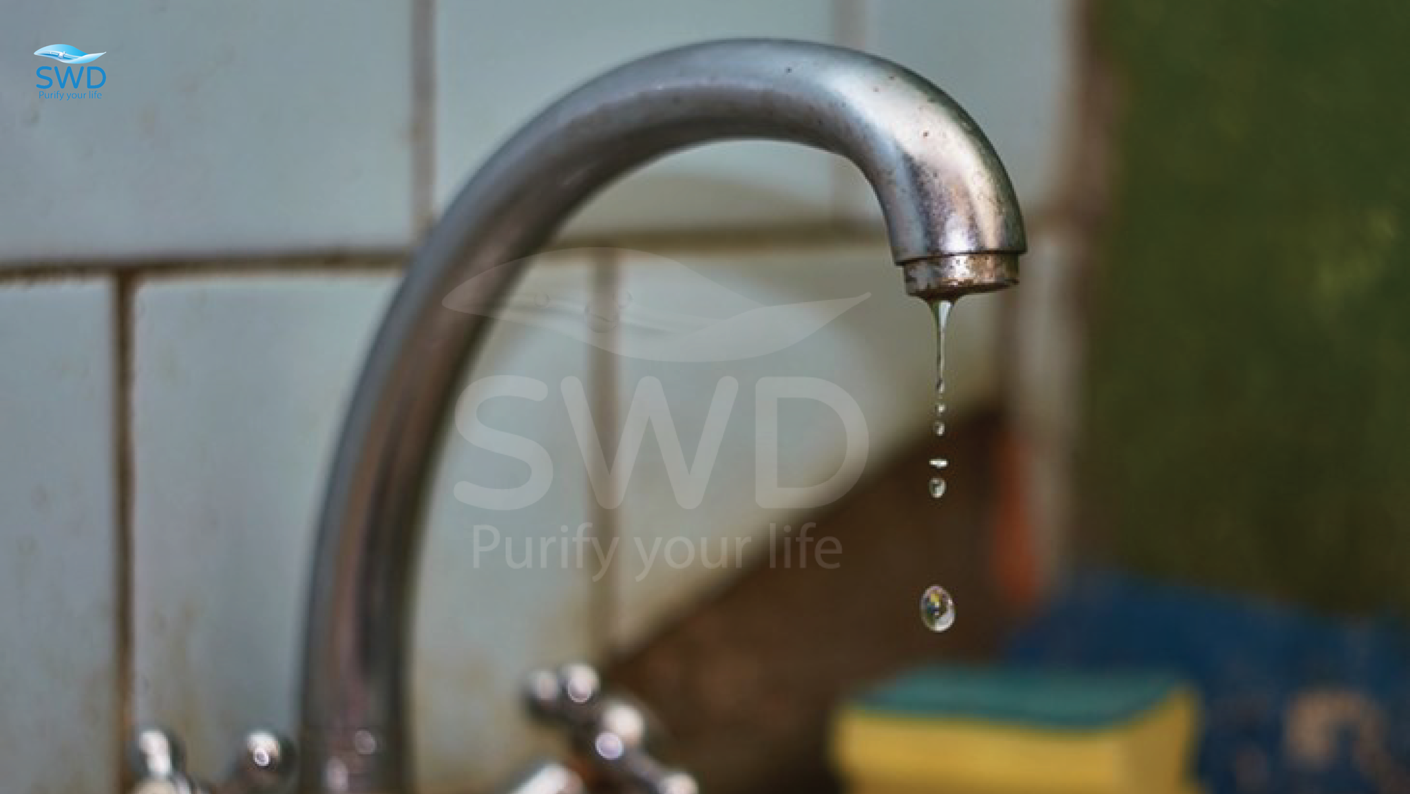 Bồn Cầu, Chậu Rửa Bằng Sứ Men Bị Ố Vàng? Đây Là Nguyên Nhân Và Giải Pháp Tận Gốc