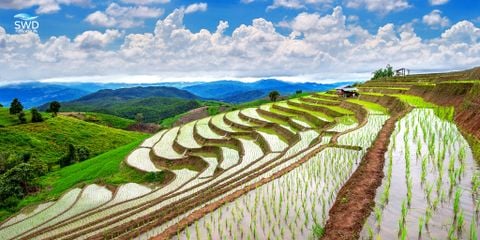 Một hành trình mang tên “nước” – từ đất ruộng đến mái nhà