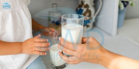 Nước pha sữa cho trẻ sơ sinh: Cẩn trọng từ giọt đầu tiên!