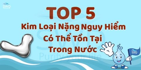 Top 5 Kim Loại Nặng Nguy Hiểm Có Thể Tồn Tại Trong Nước