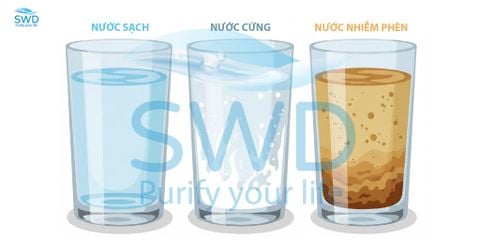 Mẹo phân biệt nước sạch – nước cứng – nước nhiễm phèn bằng mắt thường