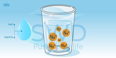 Cách Xử Lý Natri Trong Nước Sinh Hoạt – Giải Pháp An Toàn Cho Gia Đình Bạn