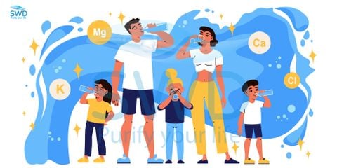 Sự Thật Thú Vị Về Nước Và Vai Trò Sống Còn Đối Với Cơ Thể Con Người