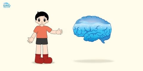 Nước và tầm quan trọng của nó đối với hoạt động của não bộ