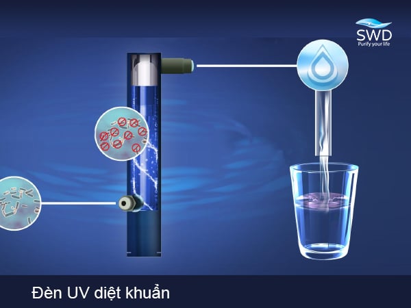 Đèn UV là gì? Nguyên tắc khử vi khuẩn trong nước bằng tia cực tím