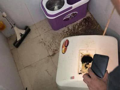 Sợ hãi vì nước sinh hoạt đen như nước cống ở chung cư Hà Nội: Người dân bị đau mắt, dị ứng không dám sử dụng