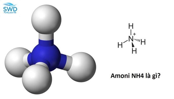 amoni trong nước