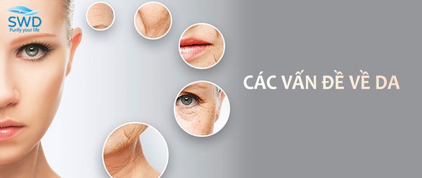 các vấn đề về da