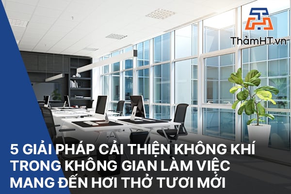 5 Giải Pháp Cải Thiện Không Khí Trong Không Gian Làm Việc: Mang Đến Hơi Thở Tươi Mới