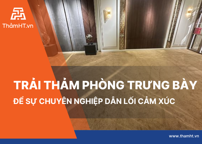 Trải Thảm Showroom Cao Cấp
