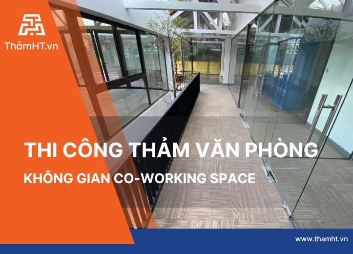 Thi Công Thảm Văn Phòng Không Gian Co-working Space