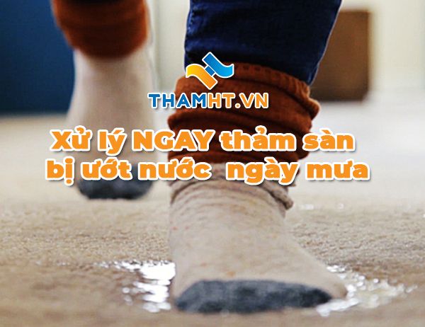 Vệ Sinh thảm văn phòng NGAY khi làm đổ nước xuống mặt thảm