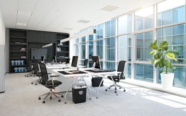 5 Giải Pháp Cải Thiện Không Khí Trong Không Gian Làm Việc: Mang Đến Hơi Thở Tươi Mới