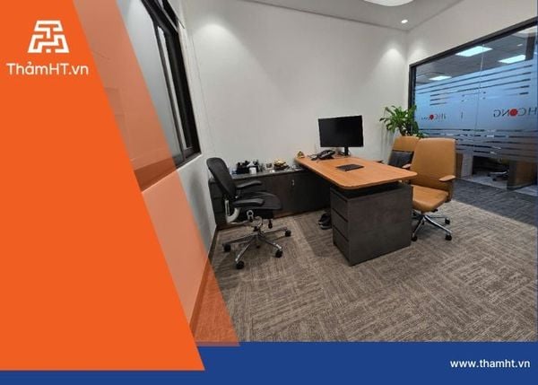 Thảm Văn Phòng Đa Sắc Giải Pháp Thông Minh Cho Không Gian Mở