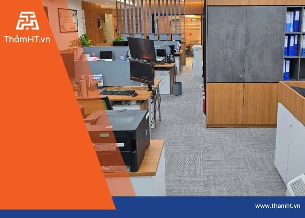 Thảm Văn Phòng Đa Sắc Giải Pháp Thông Minh Cho Không Gian Mở