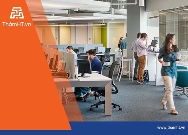 Chọn Thảm Hay Sàn Gỗ Cho Văn Phòng? Góc Nhìn Chuyên Gia & Phân Tích Chi Tiết