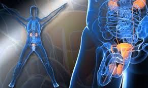 Cắt u tuyến thượng thận nội soi