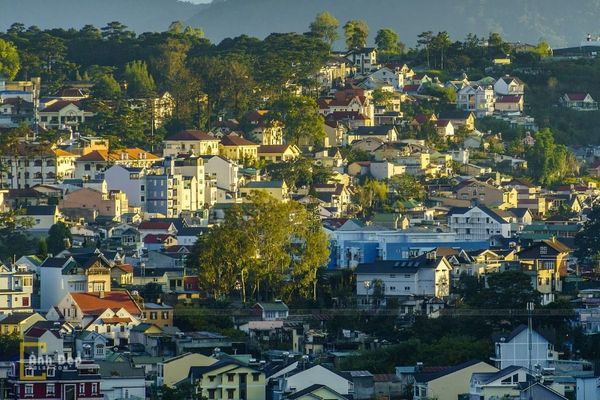 Tour du lịch Đà Lạt 4 ngày 3 đêm. Khởi hành từ Hà Nội