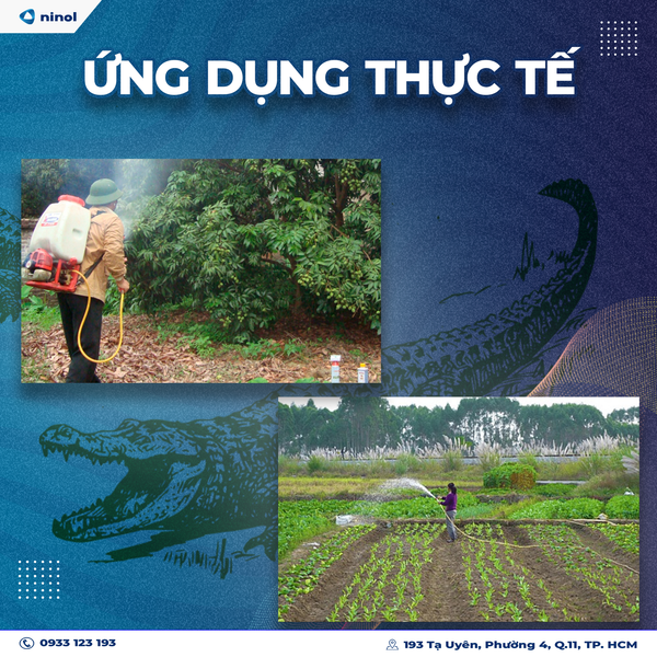 Ứng dụng thực tế của ống Cá Sấu