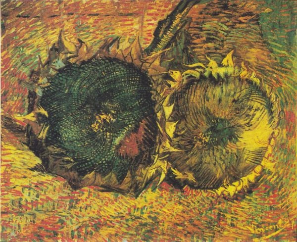 Bức tranh hoa hướng dương của Van Gogh