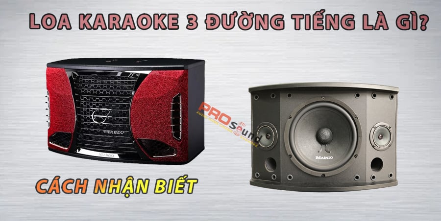 Loa Karaoke 3 đường Tiếng La Gi địa Chỉ Mua Hang Uy Tin Pro Sound Việt Nam Am Thanh Nhập Khẩu Chau Au Chinh Hang