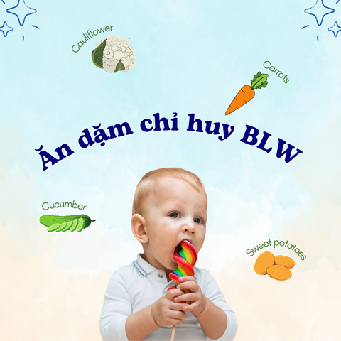 Ăn dặm BLW - Phương pháp ăn dặm tốt nhất cho bé