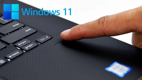 Tôi có thể đặt mật khẩu vân tay trên máy tính dùng Windows 11 không?
