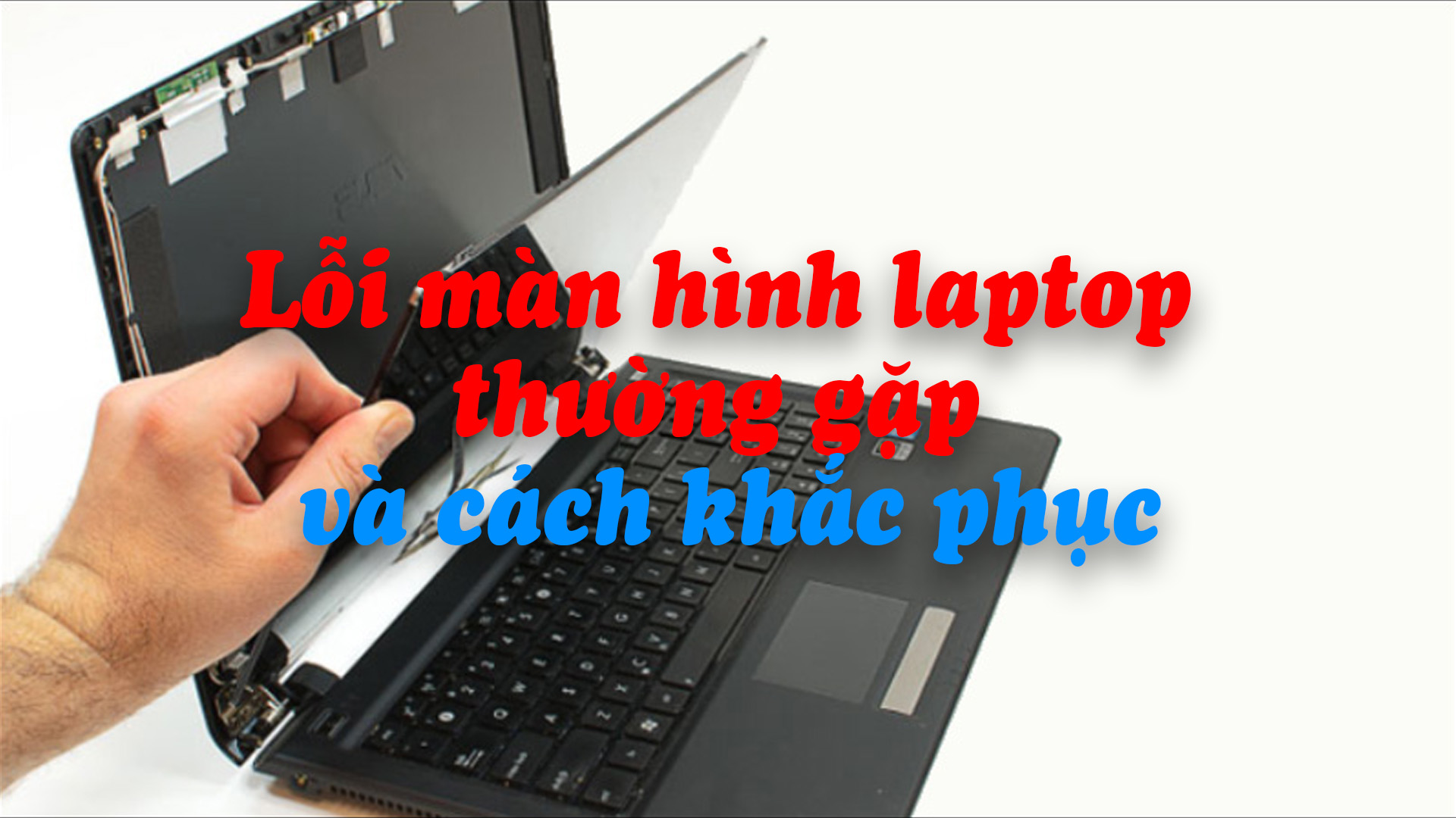 Tổng hợp các lỗi màn hình laptop thường gặp và cách khắc phục