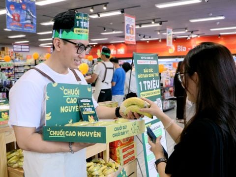 Kingfoodmart and Hoang Anh Gia Lai signed a strategic cooperation agreement in distribution