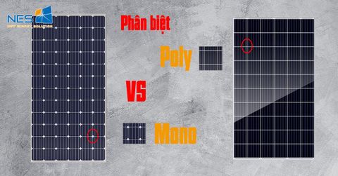 Phân biệt, so sánh Pin năng lượng mặt trời Mono và Poly! Lựa chọn nào là phù hợp nhất?