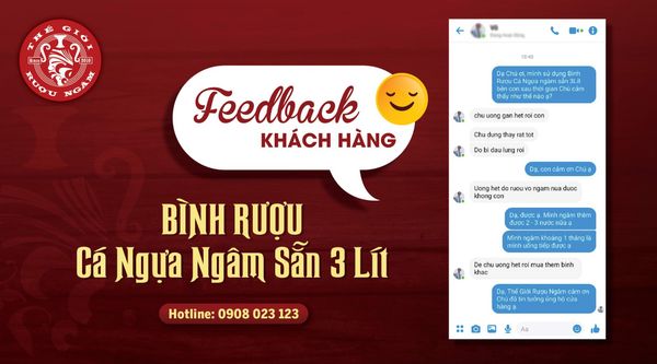 Feedback Khách Hàng sử dụng Bình Rượu Cá Ngựa Ngâm Sẵn 3 Lít