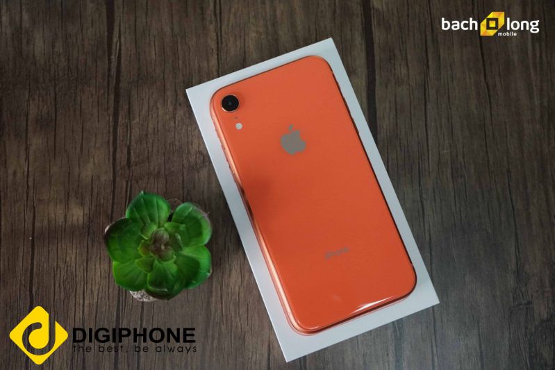 iPhone Xr.