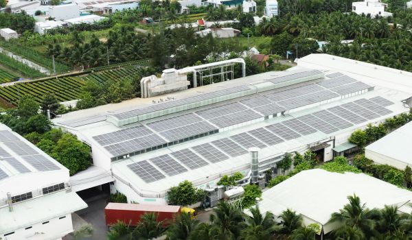 Environmental Impact Reduction Measures in Wooden Toy Manufacturing