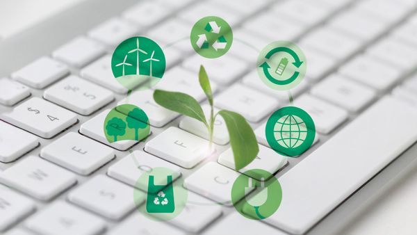 SD Woodentoy's Efforts to Prepare for the Net Zero Transition