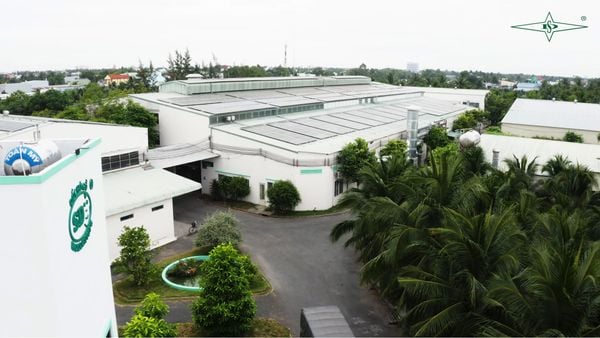 Net Zero with Self-Generated Solar Energy