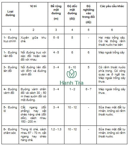 Kỹ thuật trồng chăm sóc và thu hoạch chè