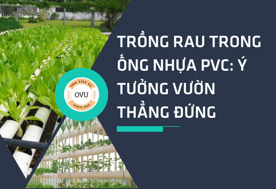 Trồng rau trong ống nhựa PVC: Ý tưởng vườn thẳng đứng